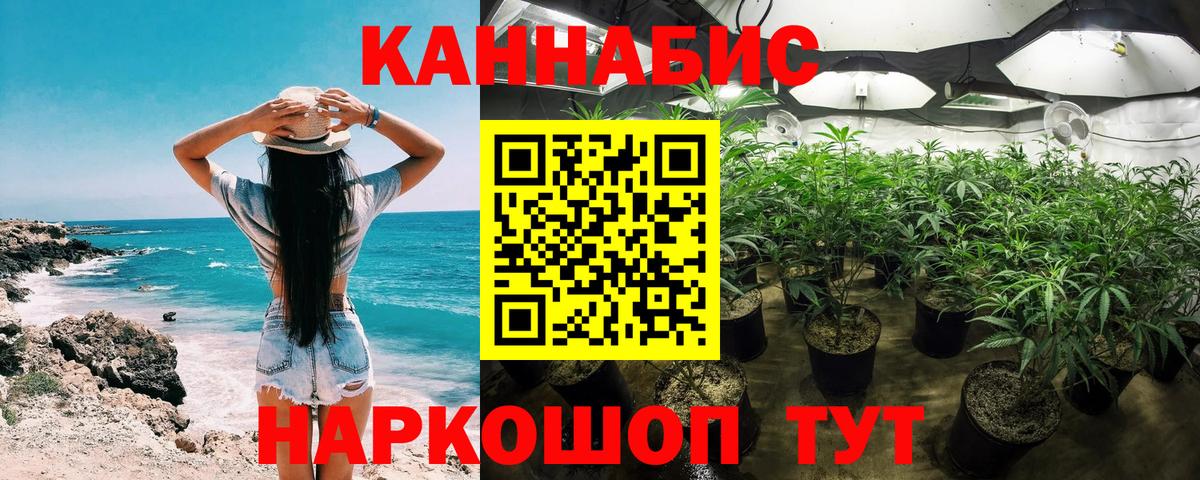 МАРИХУАНА конопля Ростов-на-Дону